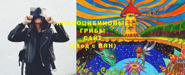 прущая мука Каменка