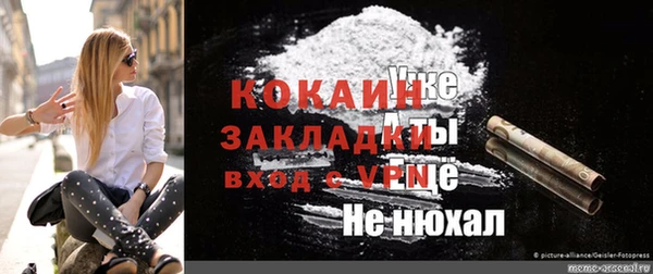 прущая мука Каменка